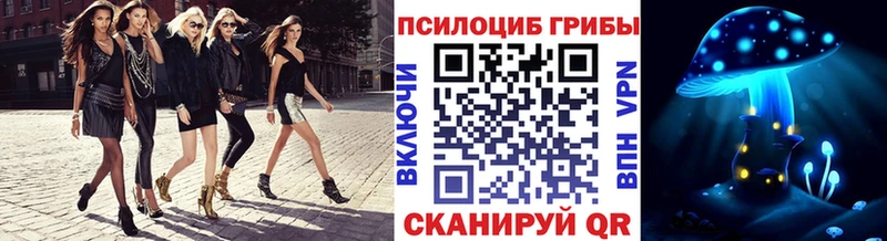 купить   Солнечногорск  shop официальный сайт  Псилоцибиновые грибы мицелий 